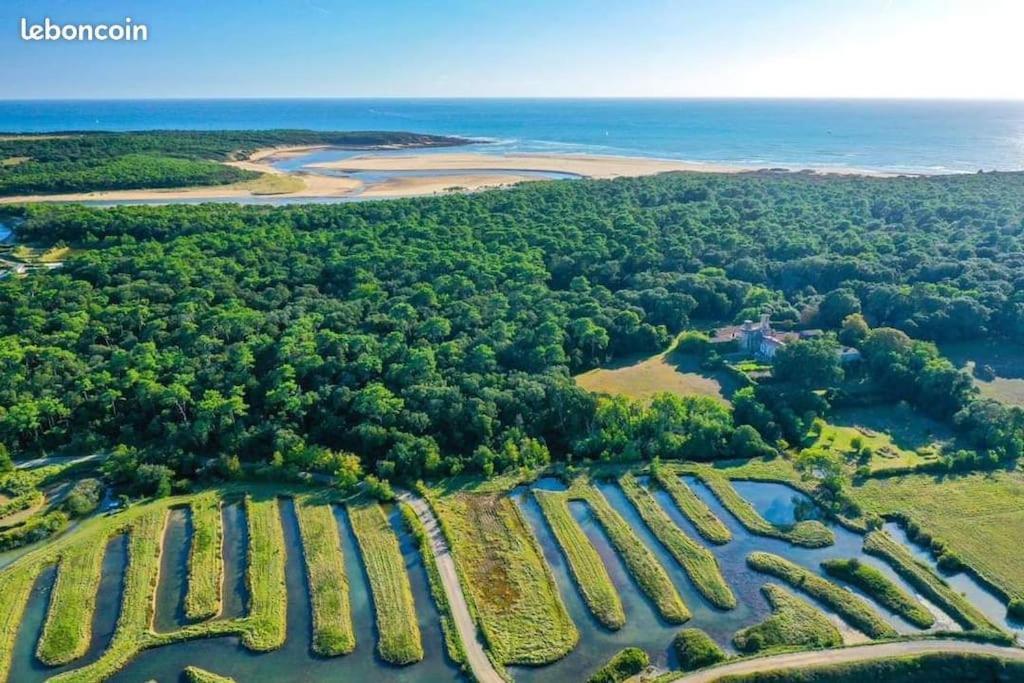 Studio Au Coeur Du Golf De Port Bourgenay, Proche Des Sables D'Olonne Talmont-Saint-Hilaire Exterior photo